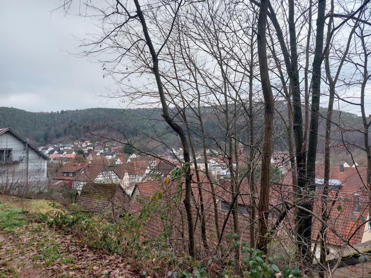 Ferienwohnung Unterm Rappenfels Hinterweidenthal المظهر الخارجي الصورة