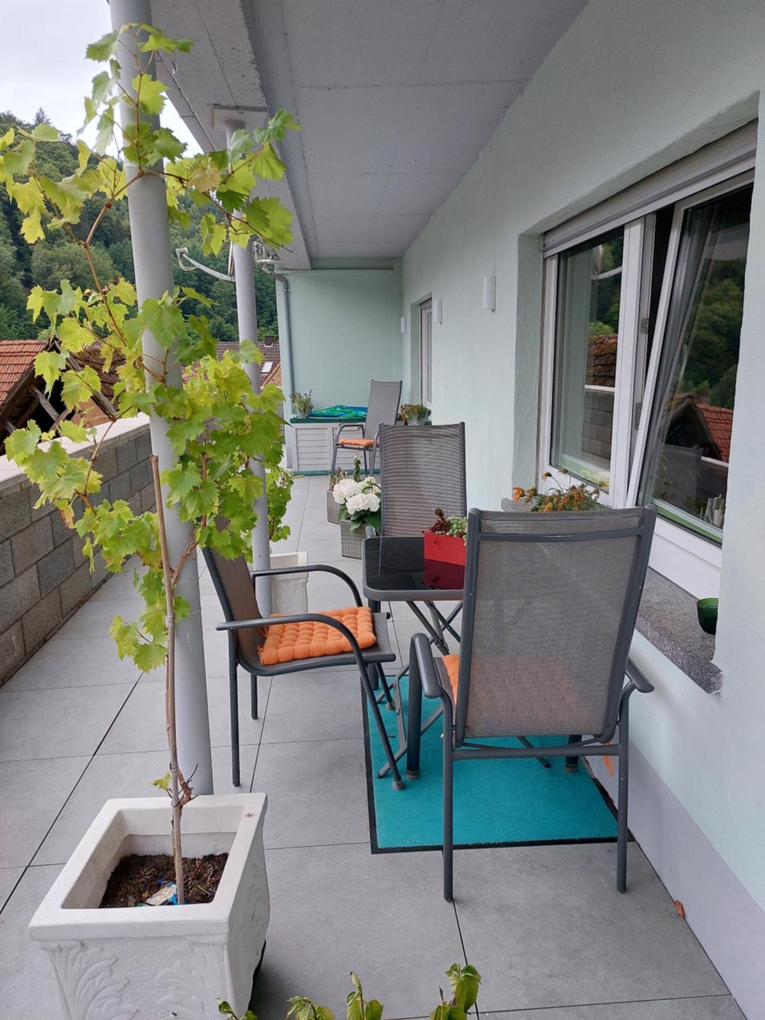 Ferienwohnung Unterm Rappenfels Hinterweidenthal المظهر الخارجي الصورة